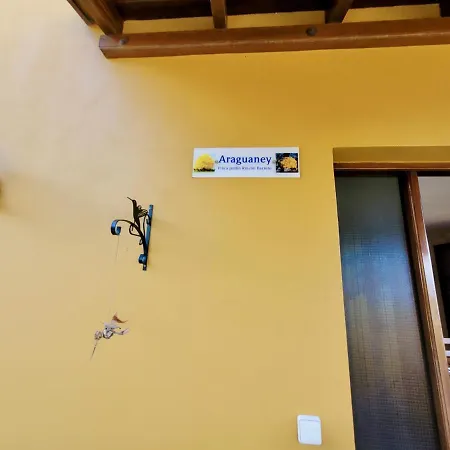 Bollullo Sunset - Araguaney * 라오로타바